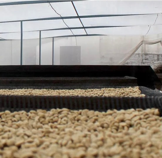 Indian Pearl Mountain - Arabica Coffee 200g/400g