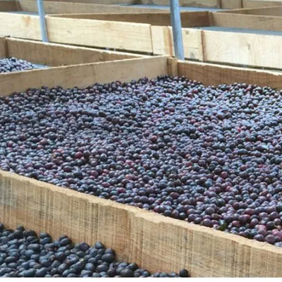 Nicaragua Finca Buena Vista  200g/400g