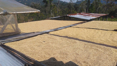 Bourbon Infused Columbian Arabica Coffee 100g/200g