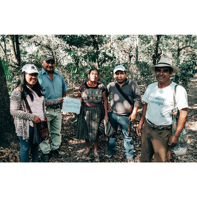 Antigua Guatemala - Arabica 200/400